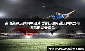 羽球｜拉昔夫：国羽打1000赛很挣扎 羽总应重质不重量